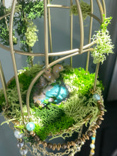Load image into Gallery viewer, in the woods